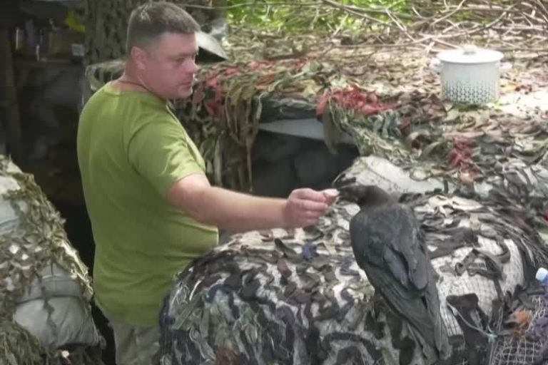 Ukrainian soldiers share their daily life with a crow