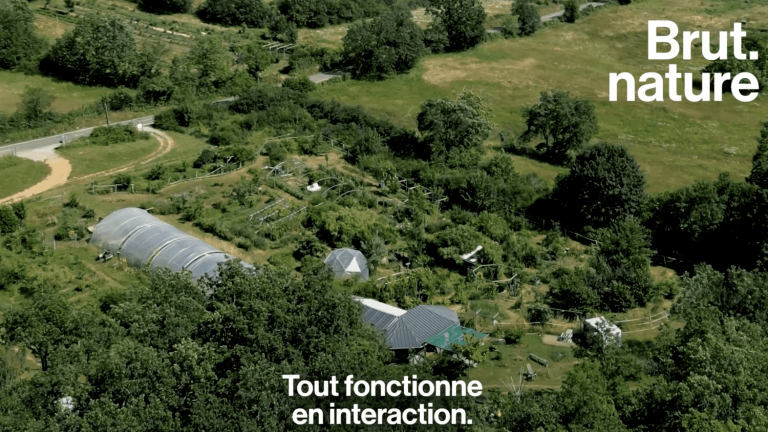 VIDEO.  In a 100% autonomous garden-forest in France