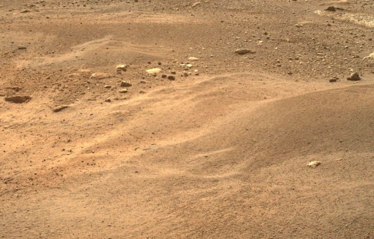 Various forms of organic matter detected on Mars