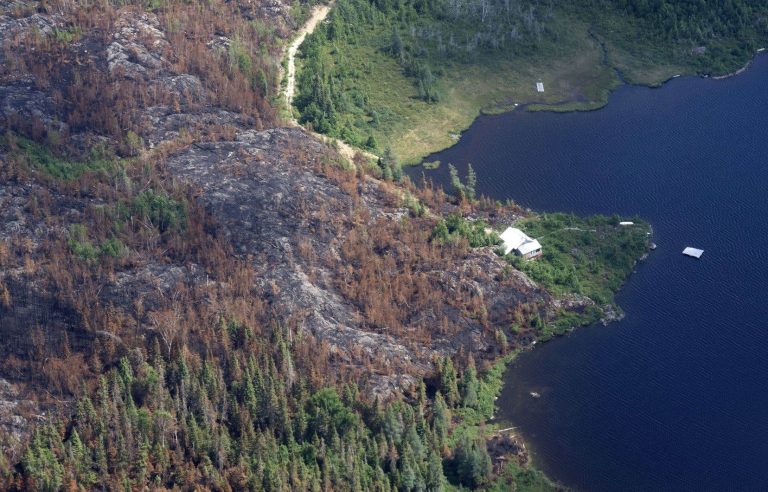 Wildfires burned 10 times more hectares in Canada in 2023 than in a whole decade