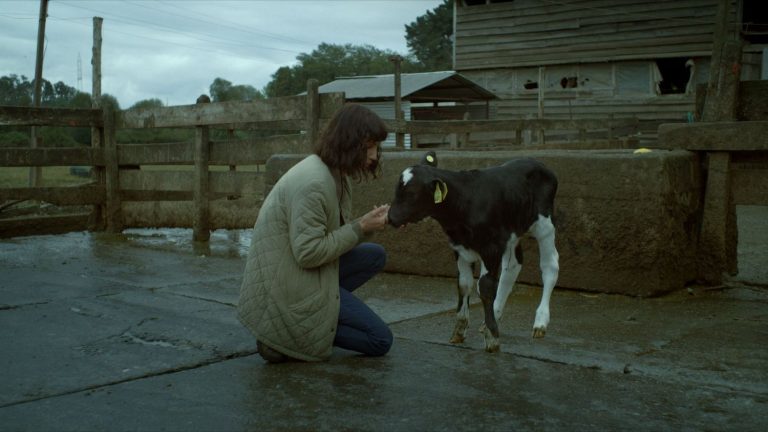 a dark film about mourning and the planet in danger