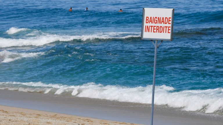 a shark seen off Barcarès, an evacuated beach