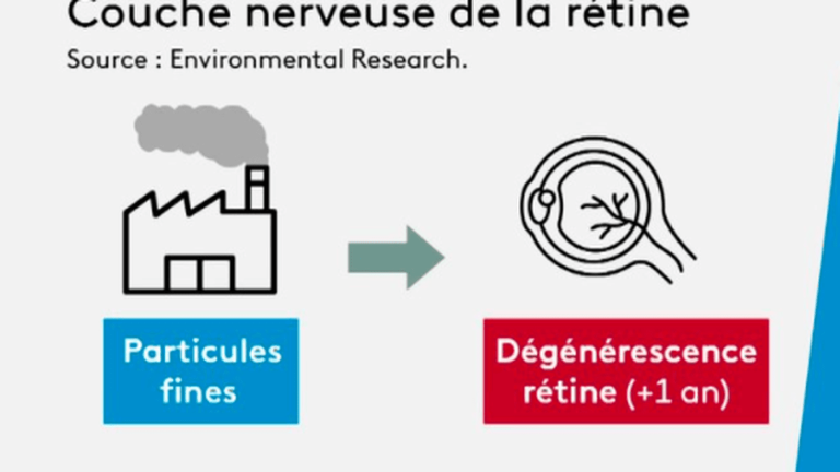 a study shows that pollution promotes glaucoma