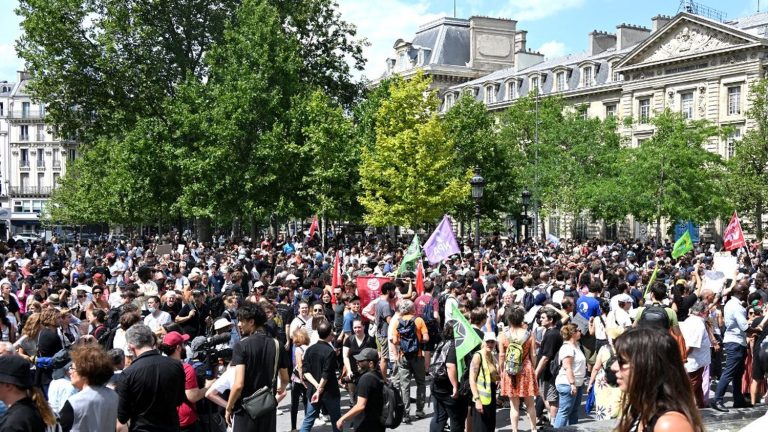 his brother Youssouf arrested for “violence” against the police during the Paris demonstration