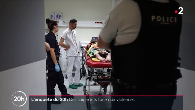 in the emergency room of Avignon, caregivers tell their daily life in the face of violence