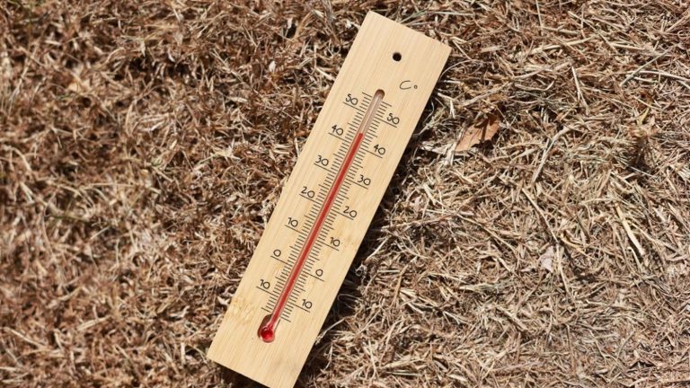 in which cities have temperature records been broken this week?