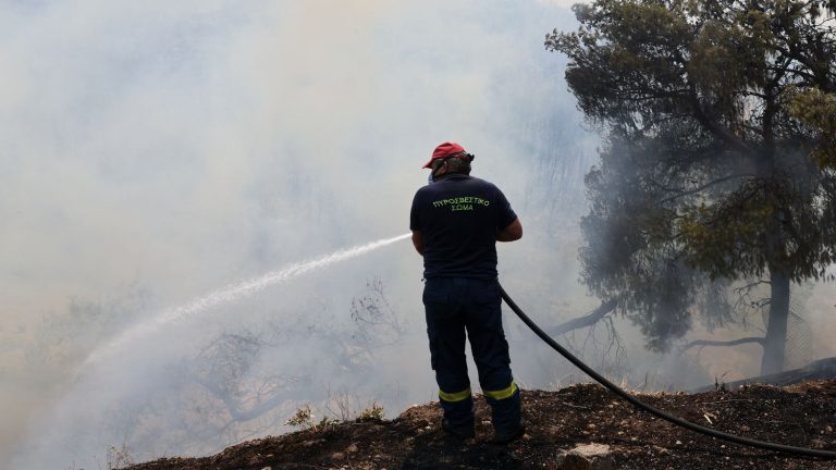 more than 200 European firefighters will be sent as reinforcements