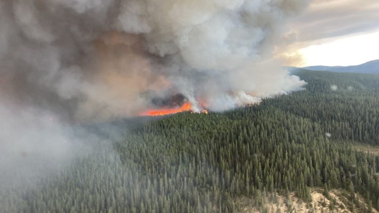 the bar of 10 million hectares burned has been crossed, i.e. a fifth of France, according to government data