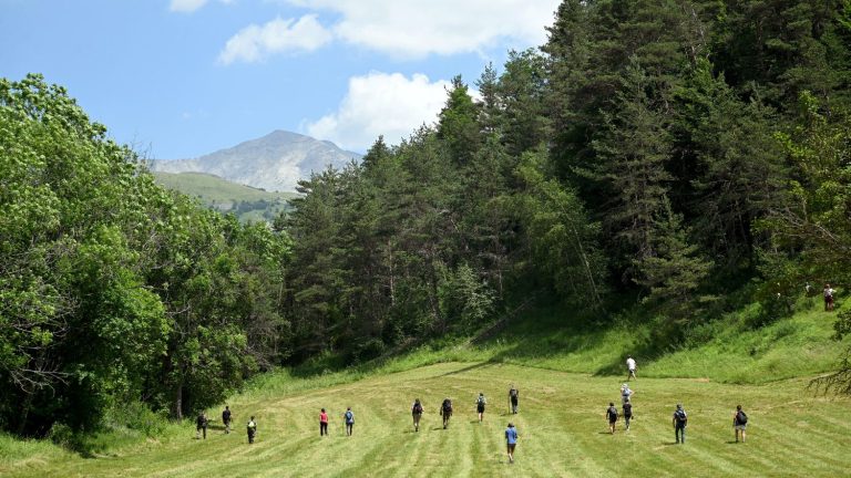 the hamlet of Haut-Vernet “sanctuarized” and closed to the public, announces the prosecutor