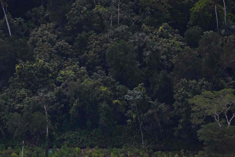 2022 |  Colombia, the most dangerous country for environmental defenders