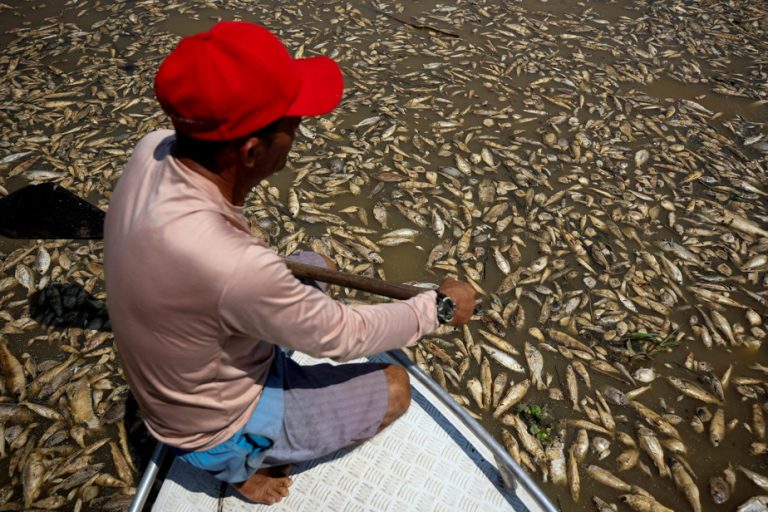 A Brazilian state in the grip of “extreme” drought