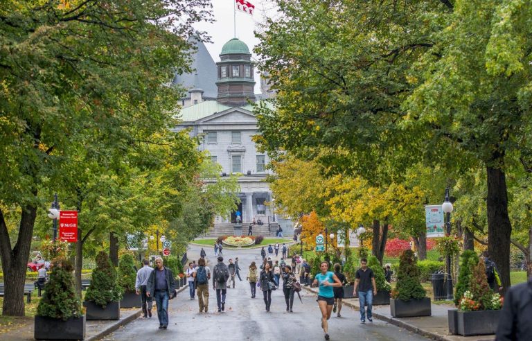 A fast track to immigration in French only criticized by McGill University