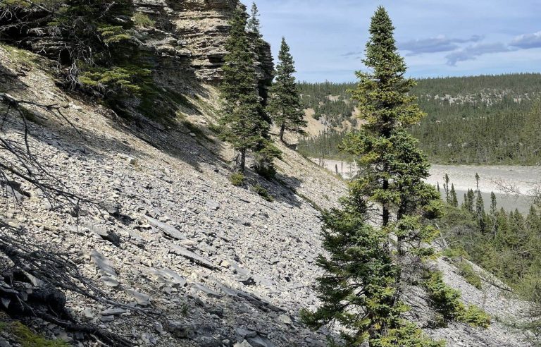 A “new era” of science on Anticosti Island