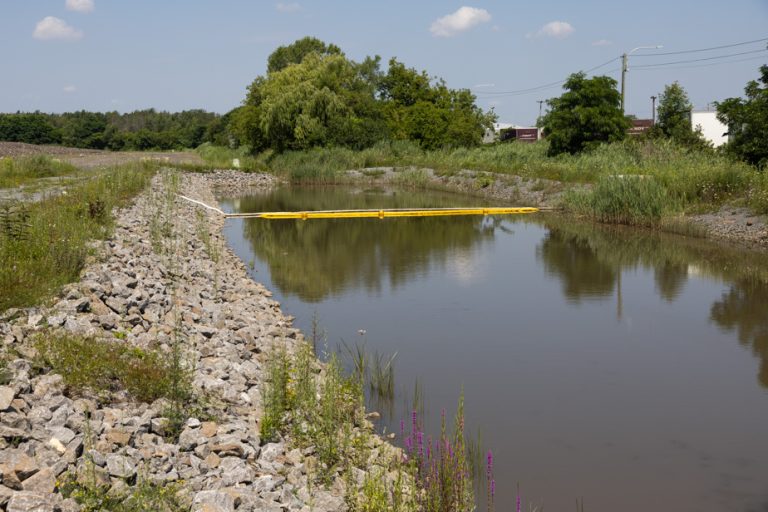 Boisé Du Tremblay |  A snow depot that is not unanimous