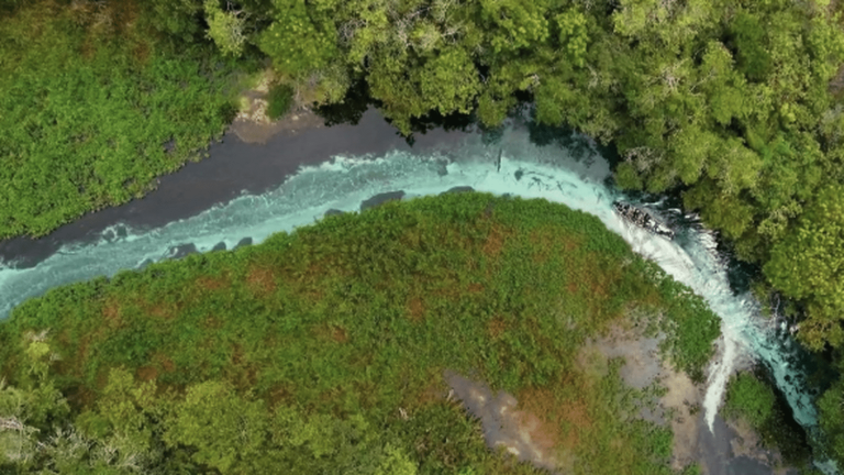 Brazil: discovering the Sucuriú river and its unique biodiversity