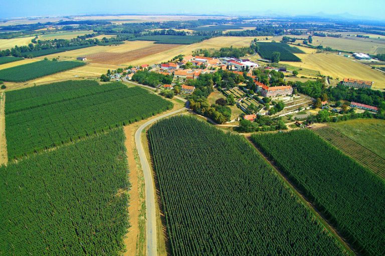 Czech Republic |  Žatec and its Saaz hops are a UNESCO World Heritage Site