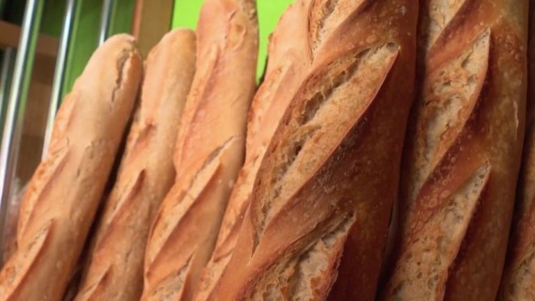 Food: bakers will have to put less salt in their bread from October 1