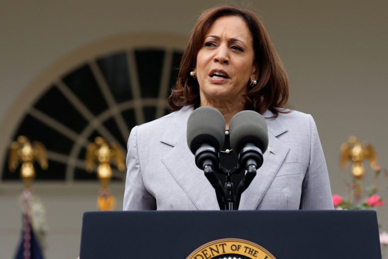 Gun violence |  Joe Biden entrusts a new mandate to Kamala Harris