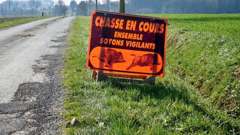 Hunters in a “state of obvious intoxication” now punished with a fine of up to 1,500 euros