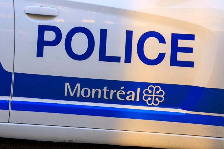 Montreal |  Eleven cars vandalized