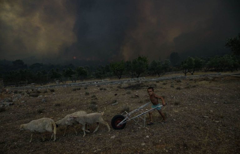 On the climate side, “the dystopian future is already here”, warns the UN High Commissioner for Human Rights