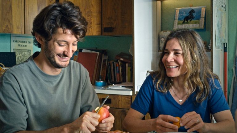 Pierre Niney and Blanche Gardin in “The Book of Solutions”, hilarious autofiction by Michel Gondry