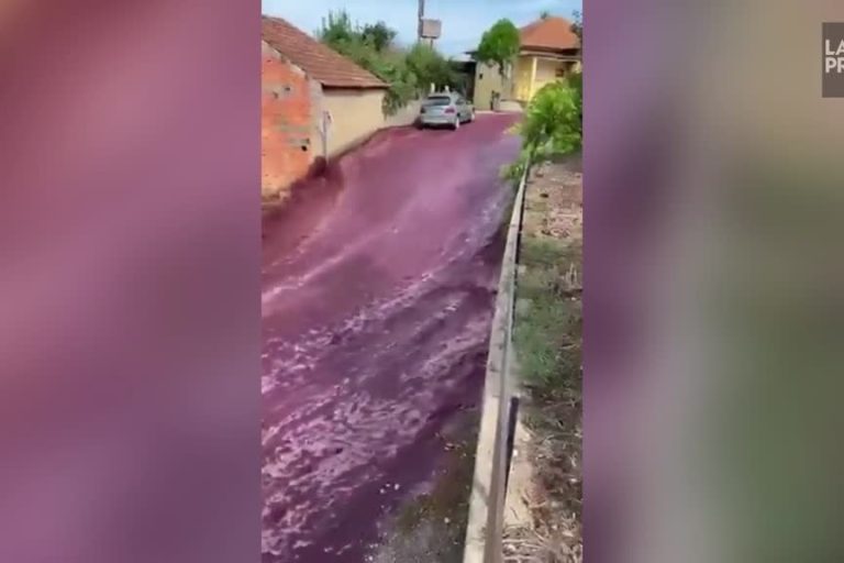 Portugal |  Red wine spilled in the streets following an accident