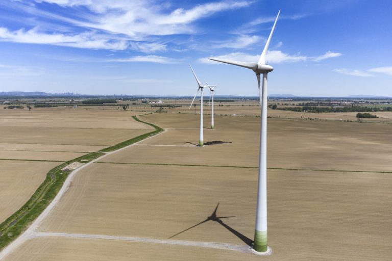 Wind turbines are eating away at arable fields, producers deplore