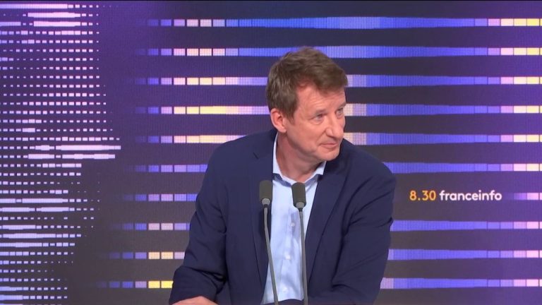 Fuel allowance, glyphosate, immigration… Yannick Jadot’s “8h30 franceinfo”