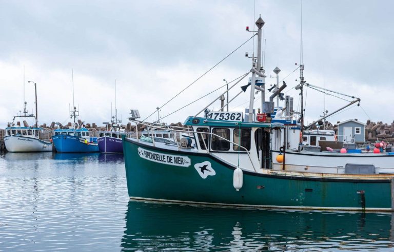 The Magdalen Islands raise their hand to become an immigration laboratory