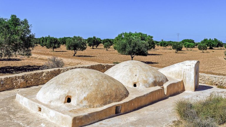 The heritage of the Tunisian island of Djerba joins the UNESCO world heritage list