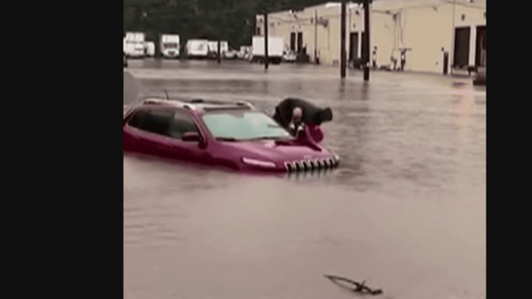 United States: New York flooded after torrential rains