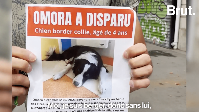 VIDEO.  In Paris, he desperately searches for Omora, his stolen 4-year-old dog