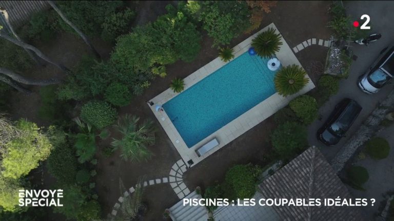 VIDEO.  Swimming pools, the ideal culprits?