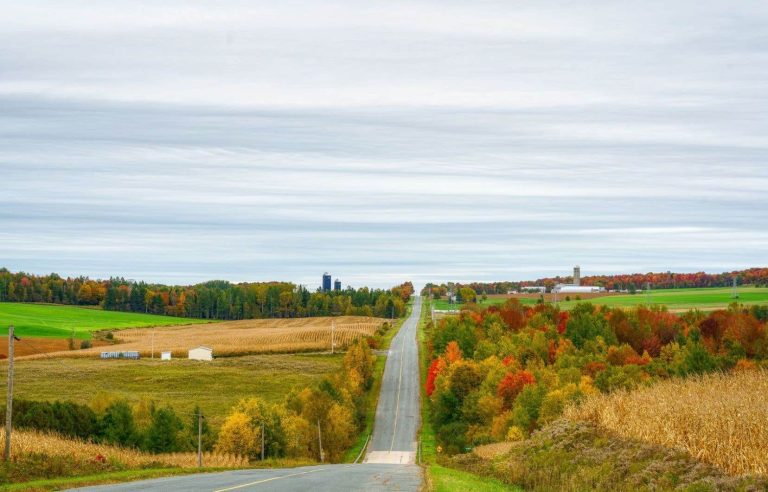 Walks to taste autumn