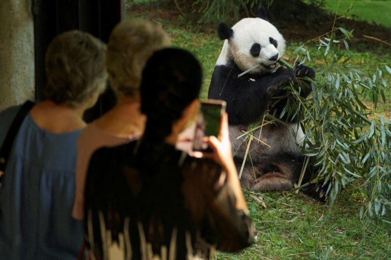 Washington says goodbye to its pandas who will leave for China