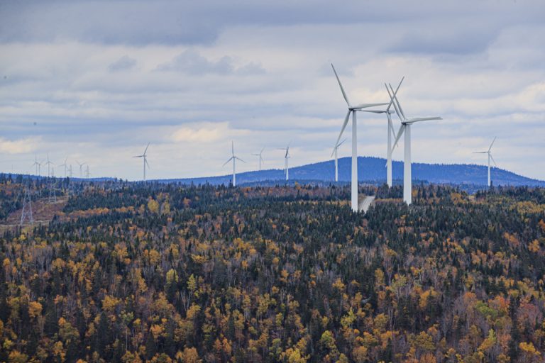 Wind power call for tenders |  Hydro-Québec receives 16 bids