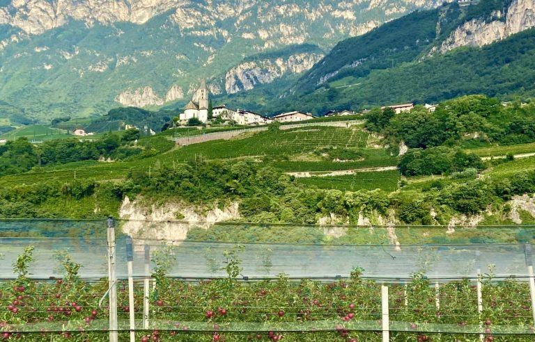 Wine Summit, Italy: Trentino-Alto Adige, land of lights