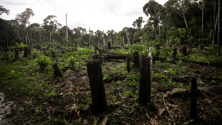 With eight out of nine ‘planetary boundaries’ soon to be exceeded, Earth’s habitability is increasingly under threat, says study