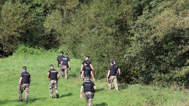 a “large-scale coordinated operation” launched on Friday, “numerous investigations” carried out by the gendarmes