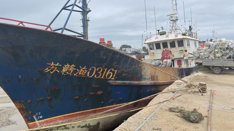 after the first discharges of water from the Fukushima power plant, fishermen and “influencers” of the Yellow Sea are worried