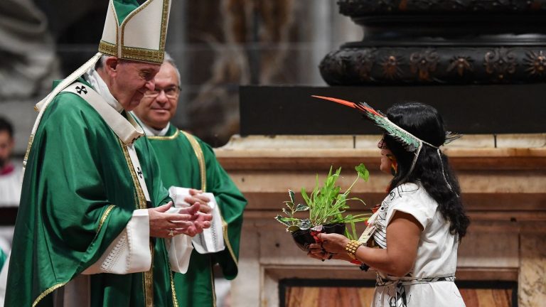 is the sovereign pontiff preaching ecology in the desert?