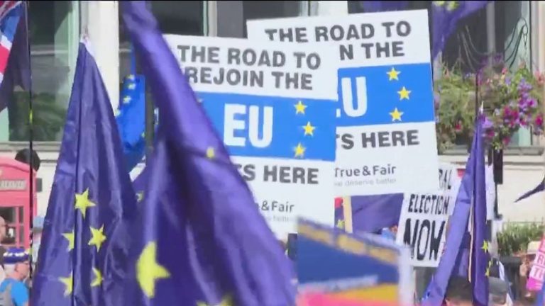 mobilization in London to reintegrate the European Union