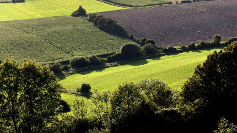 the government presents a “pact” to plant 50,000 km of new hedges by 2030