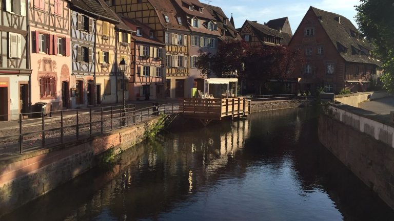 the mayor of Colmar denounces an “excess mortality of fish” after an action by environmental activists in the waters of the Lauch