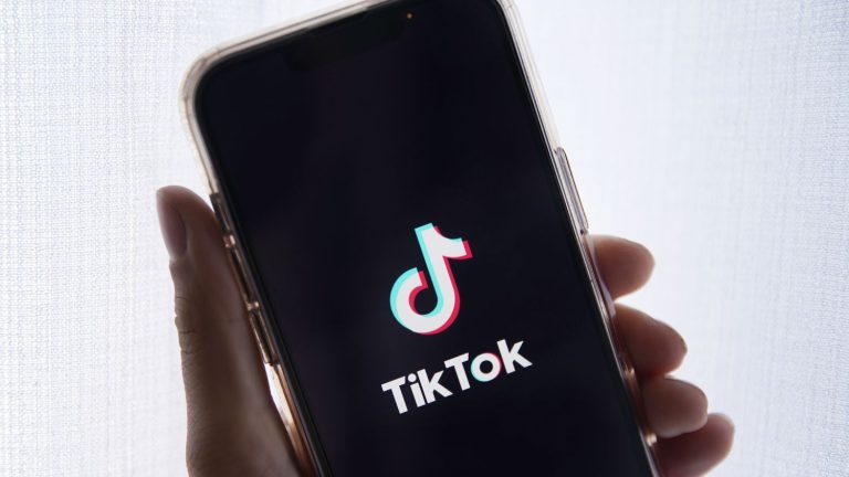 the parents of a teenager who committed suicide file a complaint against TikTok, a first in France