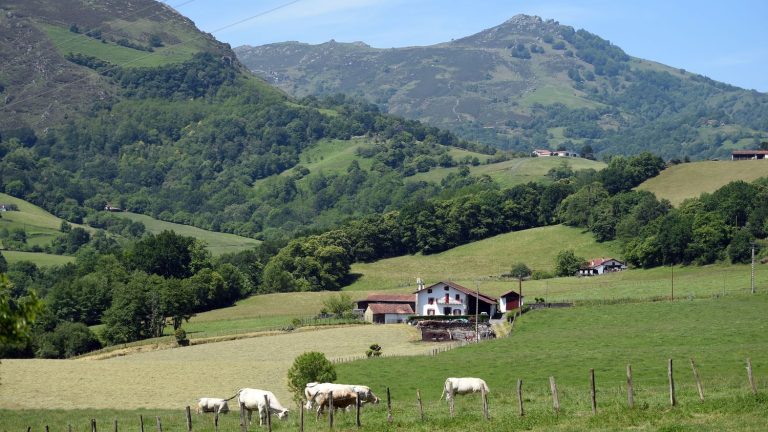 three cases in the Pyrénées-Atlantiques and the Hautes-Pyrénées, a first in France