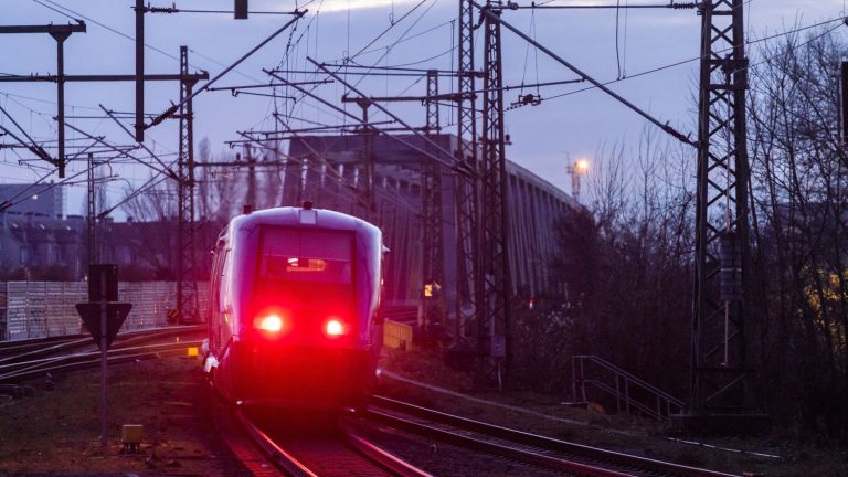 three questions on the “metropolitan RER” for which Emmanuel Macron promises to invest 700 million euros from the State