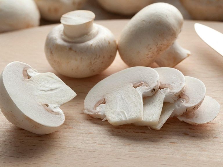 what are the benefits of mushrooms, these allies of autumn?