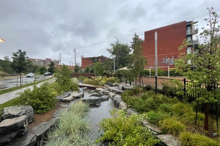 A first sponge street to try to reduce the risk of flooding